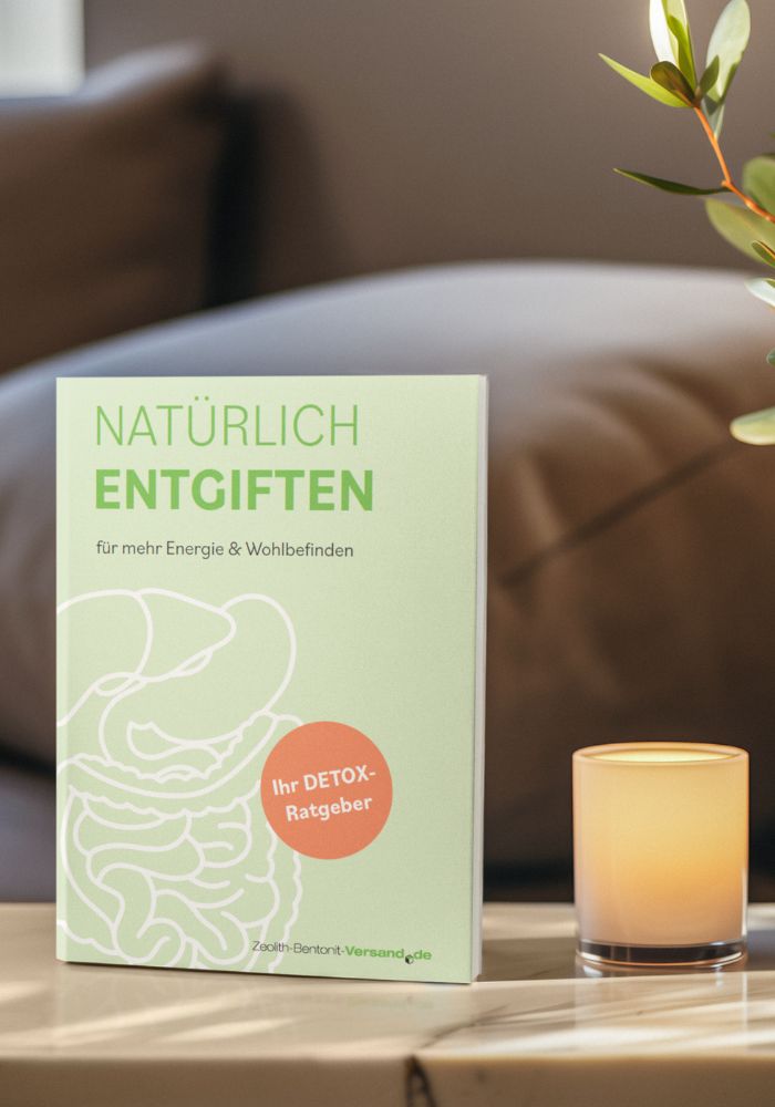 Guida alla disintossicazione: il vostro compagno per un sollievo naturale (versione tedesca)